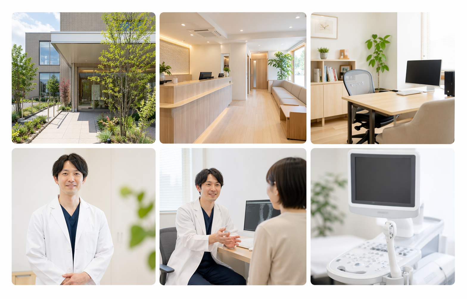 外観、受付、診察部屋、院長プロフィール、診察の様子、設備写真の例